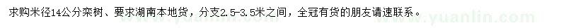 求購米徑14公分欒樹