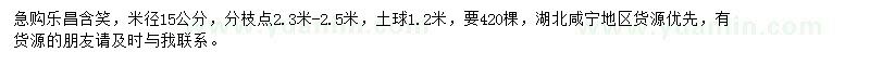 求購米徑15公分樂昌含笑