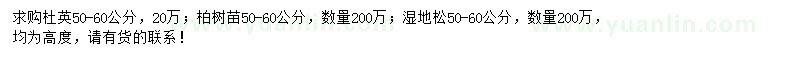 求購杜英、柏樹、濕地松