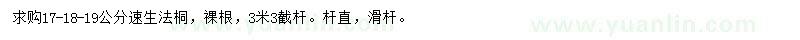 求購17-19公分速生法桐