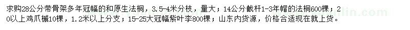 求購法桐、雞爪槭、紫葉李