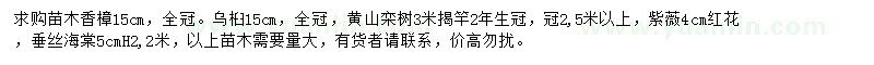 求購香樟、烏桕、黃山欒樹等