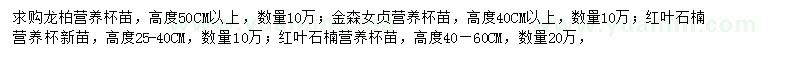 求購龍柏、金森女貞、紅葉石楠