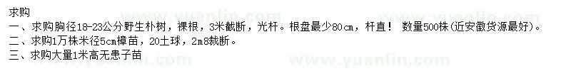 求購(gòu)樸樹(shù)、無(wú)患子、青楓