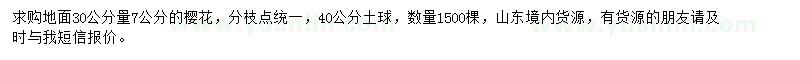 求購(gòu)30公分量7公分櫻花