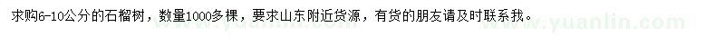 求購6-10公分石榴樹