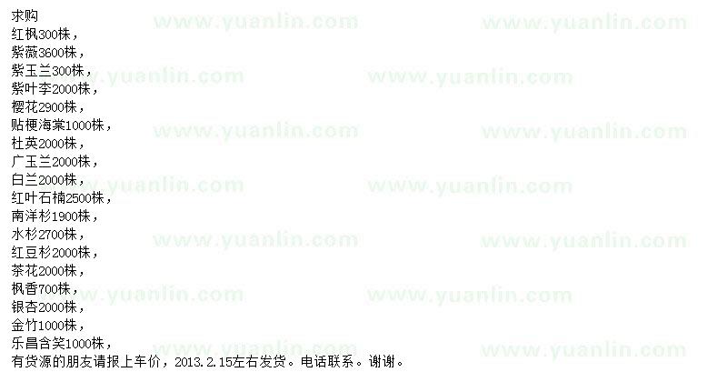 求購(gòu)紅楓、紫薇、紫玉蘭等