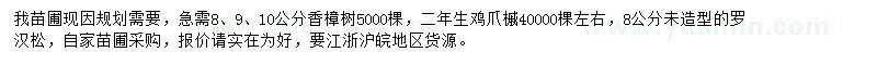 求購(gòu)香樟、雞爪槭、羅漢松