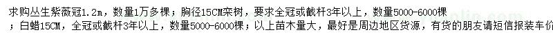 求購叢生紫薇、欒樹、白蠟
