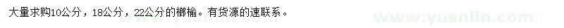 求購10、18、22公分榔榆