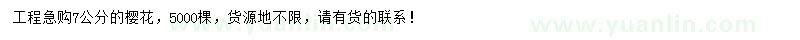 求購(gòu)7公分櫻花