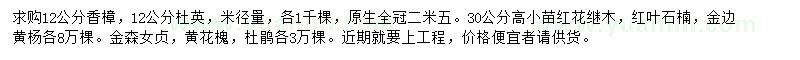 求購香樟、杜英、紅花繼木等