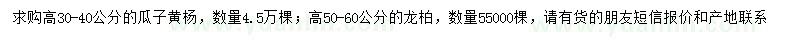求購高30-40公分瓜子黃楊、50-60公分龍柏