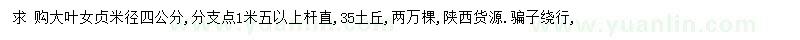 求購4公分大葉女貞