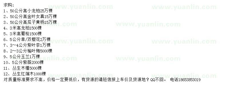 求購小龍柏、金葉女貞、瓜子黃楊等