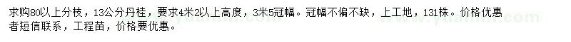 求購13公分丹桂