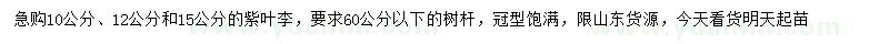 求購10、12、15公分紫葉李