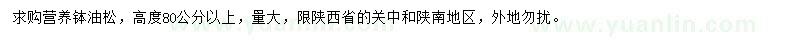 求購高80公分以上油松