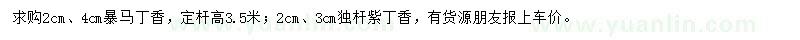 求購(gòu)2、4公分暴馬丁香、2、3公分紫丁香