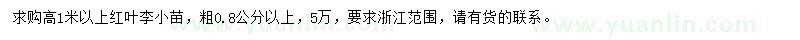 求購高1米以上紅葉李小苗