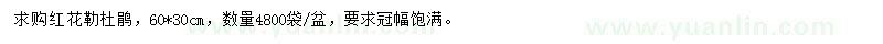求購(gòu)紅花勒杜鵑