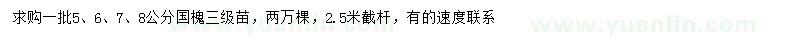 求購5-8公分國槐