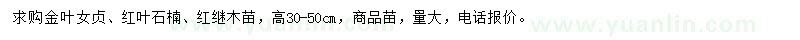 求購金葉女貞、紅葉石楠、紅繼木苗