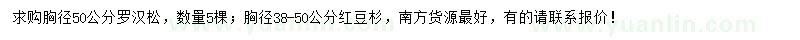 求購(gòu)胸徑50公分羅漢松、胸徑38-50公分紅豆杉