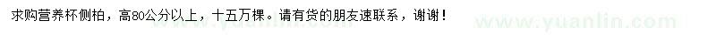 求購高80公分以上營(yíng)養(yǎng)杯側(cè)柏