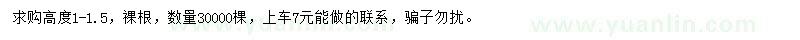求購(gòu)高1-1.5米七葉樹小苗
