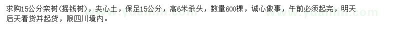 求購15公分欒樹