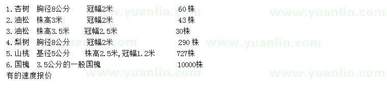 求購杏樹、油松、梨樹等