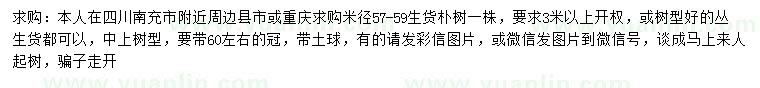 求購米徑57-59公分樸樹