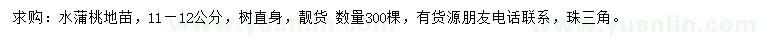 求購11-12公分水蒲桃