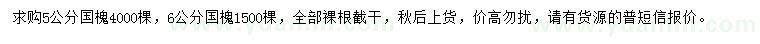 求購5、6公分國槐