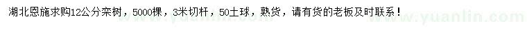 求購12公分欒樹