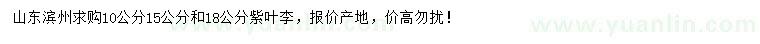 求購(gòu)10、15、18公分紫葉李