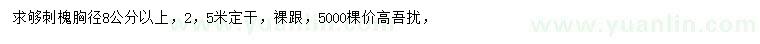 求購胸徑8公分以上刺槐