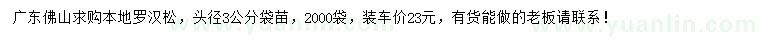求購3公分本地羅漢松