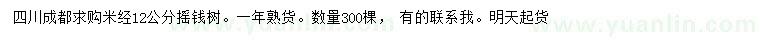求購米徑12公分搖錢樹