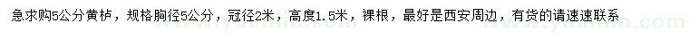 求購胸徑5公分黃櫨