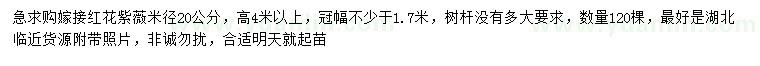求購(gòu)米徑20公分紅花紫薇