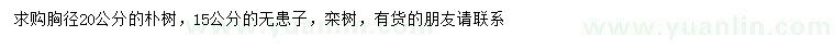 求購樸樹、無患子、欒樹
