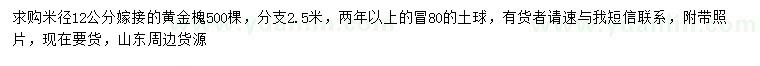 求購米徑12公分黃金槐
