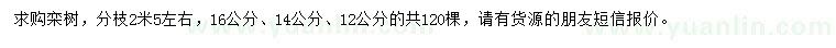 求購(gòu)12、14、16公分欒樹(shù)