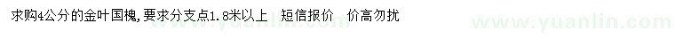 求購(gòu)4公分金葉國(guó)槐