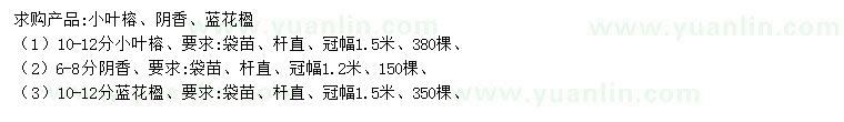 求購小葉榕、陰香、藍(lán)花楹