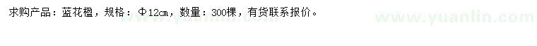 求購12公分藍花楹