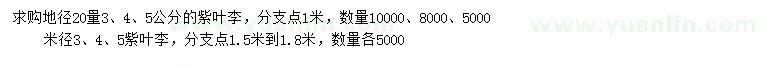 求購地徑20量3、4、5公分紫葉李、米徑3、4、5紫葉李