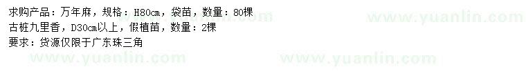 求購高80公分萬年麻、九里香古樁